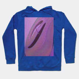 Celluloid Material Hoodie